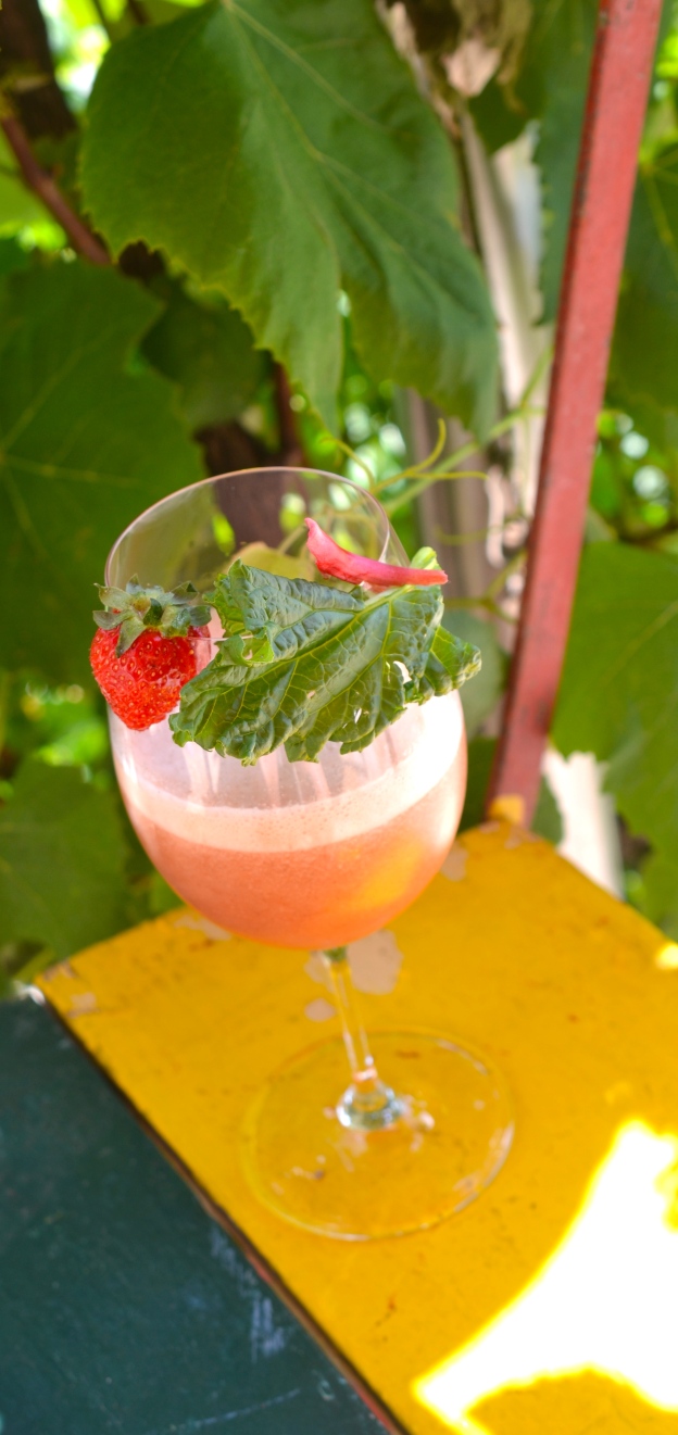 Rhabarber-Erdbeer-Drink (alkoholfrei) | TMSALZBURGFEE